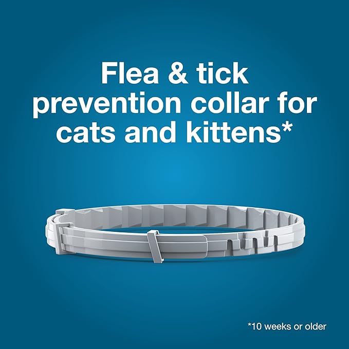Seresto Cat Flea & Tick Collar – 8 Month Protection
