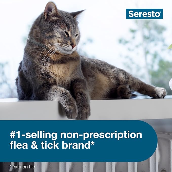 Seresto Cat Flea & Tick Collar – 8 Month Protection